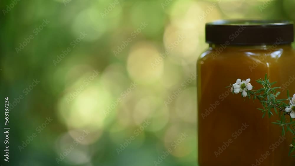 Manuka flower and honey on nature background. Manuka flower and honey on nature background.