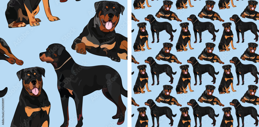 Blue Seamless Rottweiler dog pattern, holiday texture. Packaging, textile, decoration, wrapping paper.Trendy hand-drawn funny breed wallpaper.Fun seamless running sitting Rottweiler dog square pattern