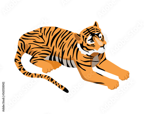 Fototapeta Naklejka Na Ścianę i Meble -  Isometric Tiger Illustration
