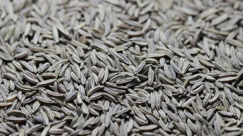 cumin grains rotate in a circle. view from above cumin grains rotate in a circle. view from above
