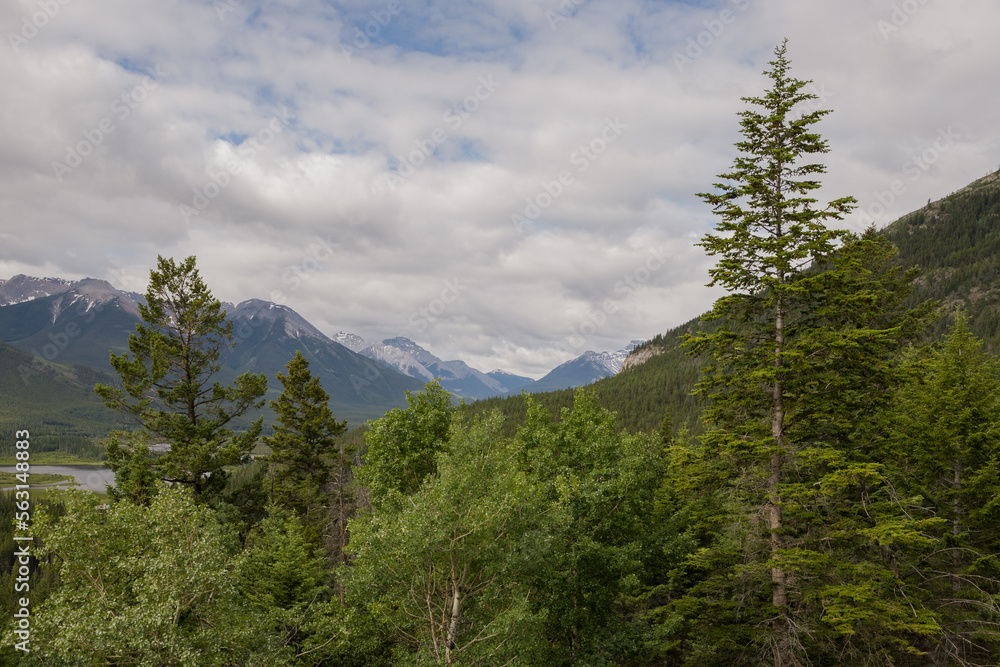 Tourism. Active recreation in mountains and lake in Banff National Park, Alberta, Canada. Hiking, walks in the forest in summer. Tourism. Active recreation in mountains and lake in Banff National Park, Alberta, Canada. Hiking, walks in the forest in summer.