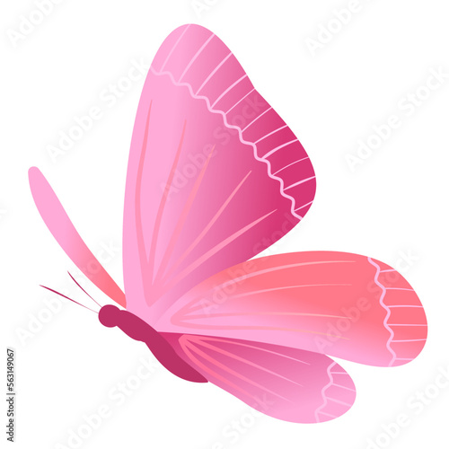 Pink delicate flying butterfly symbol of dreams, love, tenderness, background design element, textile, holiday cards, wallpaper