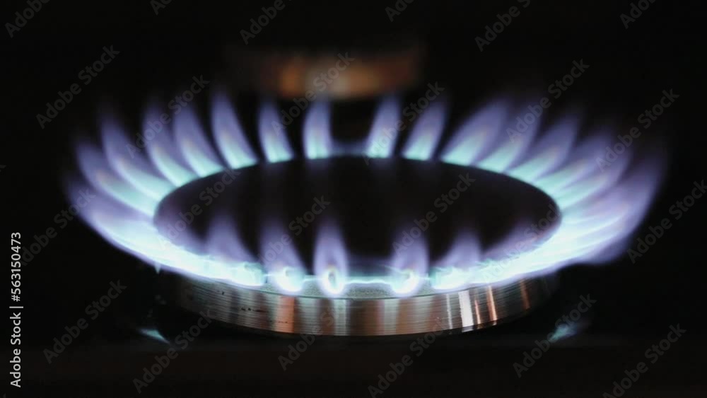 Blue gas or propane flame of a kitchen cook stove in darkness. Blue gas or propane flame of a kitchen cook stove in darkness.
