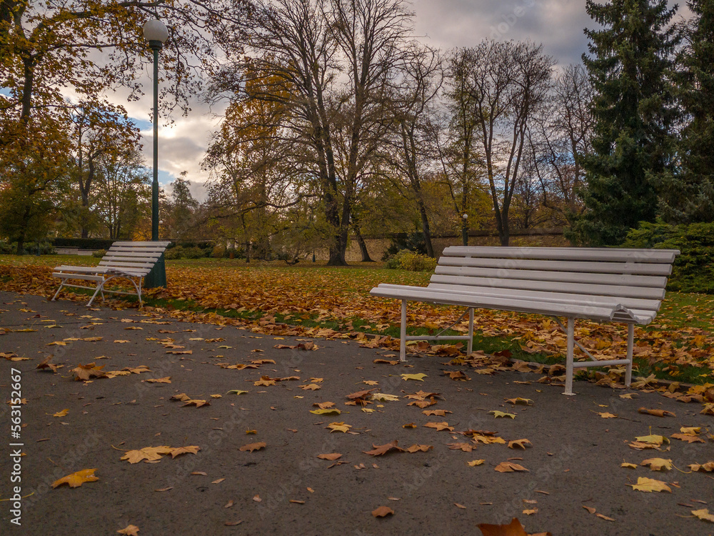 Beautifully colored autumn gardens at Prague Castle with views of St. Vitus or Palace of the Castle. Prague, Czech Republic