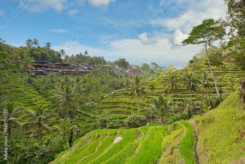 Rice Terasses of Tegalalang on Bali with approaching rain clouds