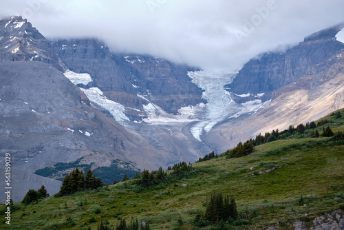 Dome Glacier descends from Columbia Icefield leaving piles of moraine © Annee