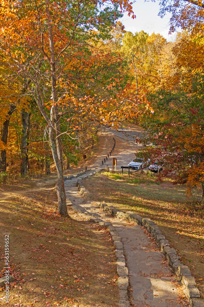 Rustic Path in a Forested Park in the Fall Rustic Path in a Forested Park in the Fall