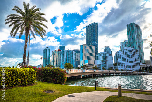 Miami skyline and waterfront view