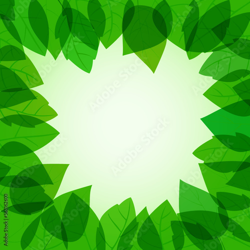 green leaves frame © takra