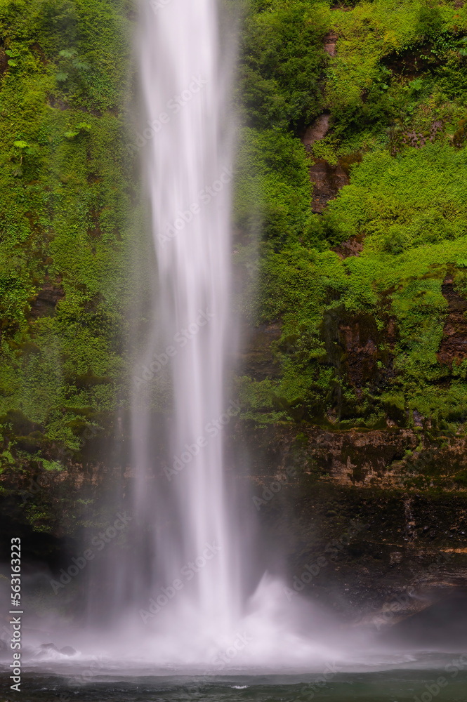 waterfall in the forest waterfall in the forest