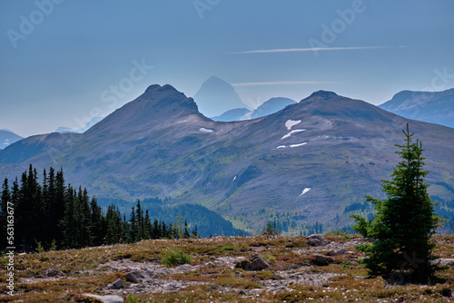 Distant view of BC's Mount Assiniboine from Sunshine Meadows, Canada © Annee