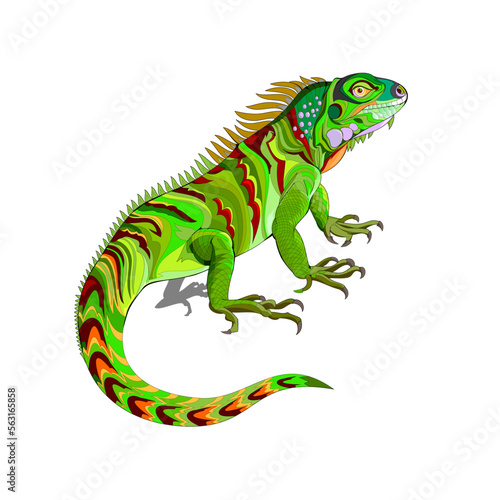 Illustration of green lizard iguana. Wildlife animals. Isolated drawing on white background. Print for fabric, fashion, decoration, embroidery, wallpaper. Flat cartoon vector.