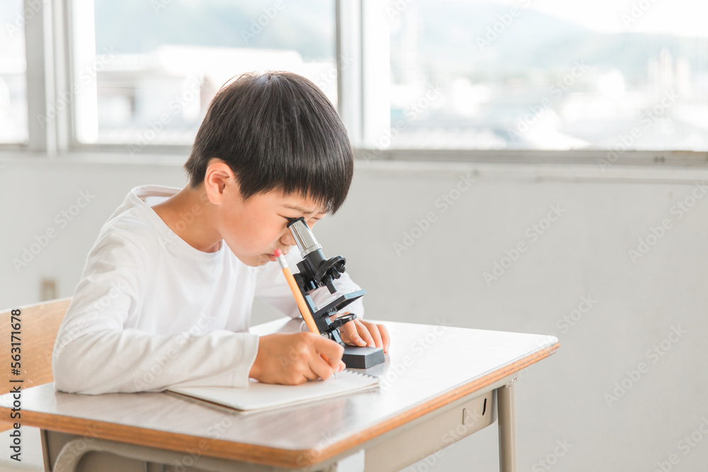 学校の授業で理科の実験・勉強をする小学生の男の子(顕微鏡・見る)
学校の授業で理科の実験・勉強をする小学生の男の子(顕微鏡・見る)