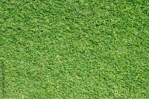 green grass texture for top view photo background