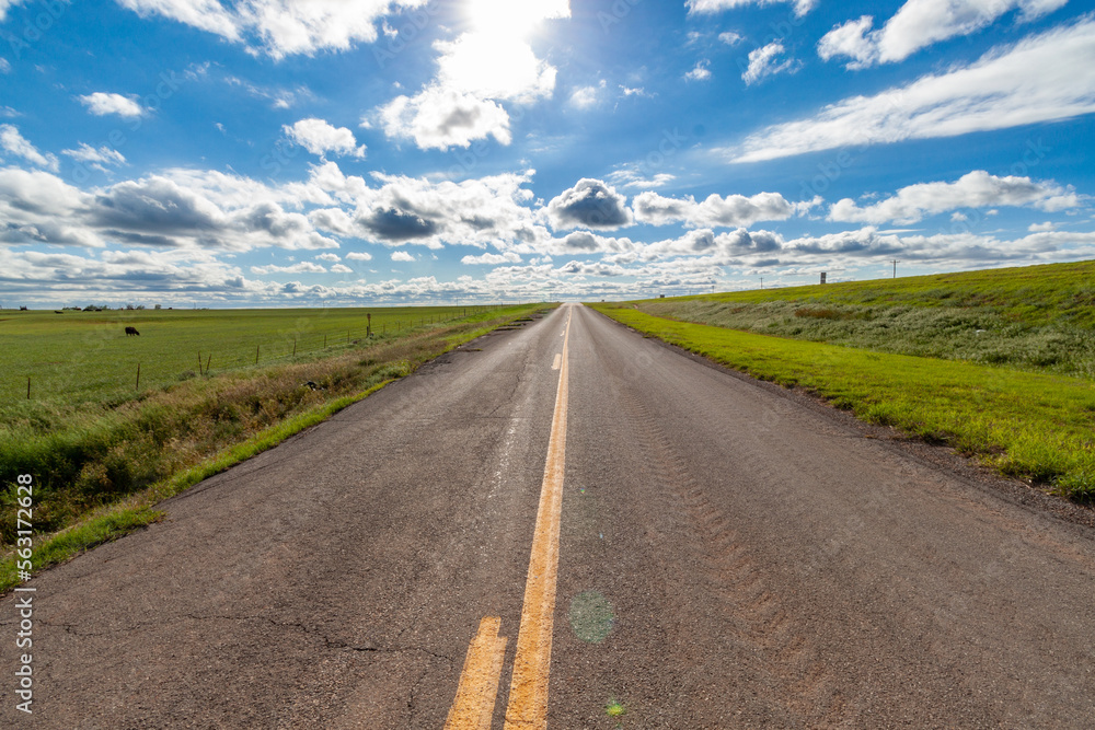 Empty rural road surrounded by cow pasture on sunny day with fluffy clouds in sky