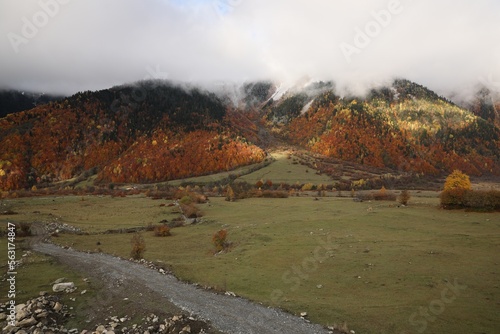 Picturesque view of high mountains with forest covered by thick mist and meadow on autumn day
