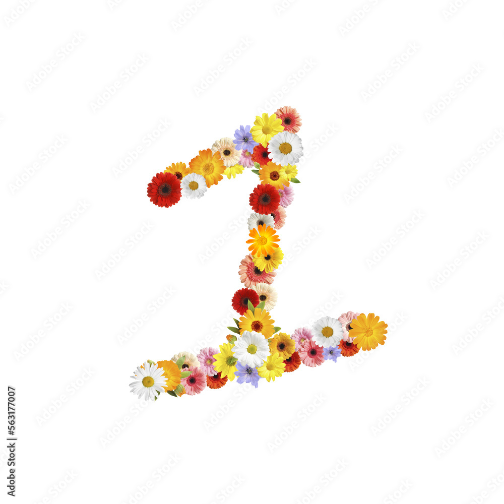 Number 1 made of beautiful flowers on white background