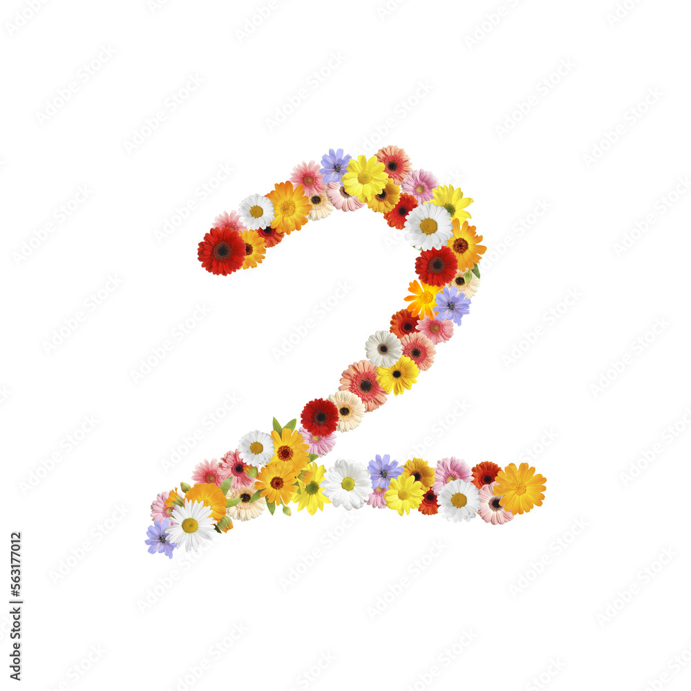 Number 2 made of beautiful flowers on white background Number 2 made of beautiful flowers on white background