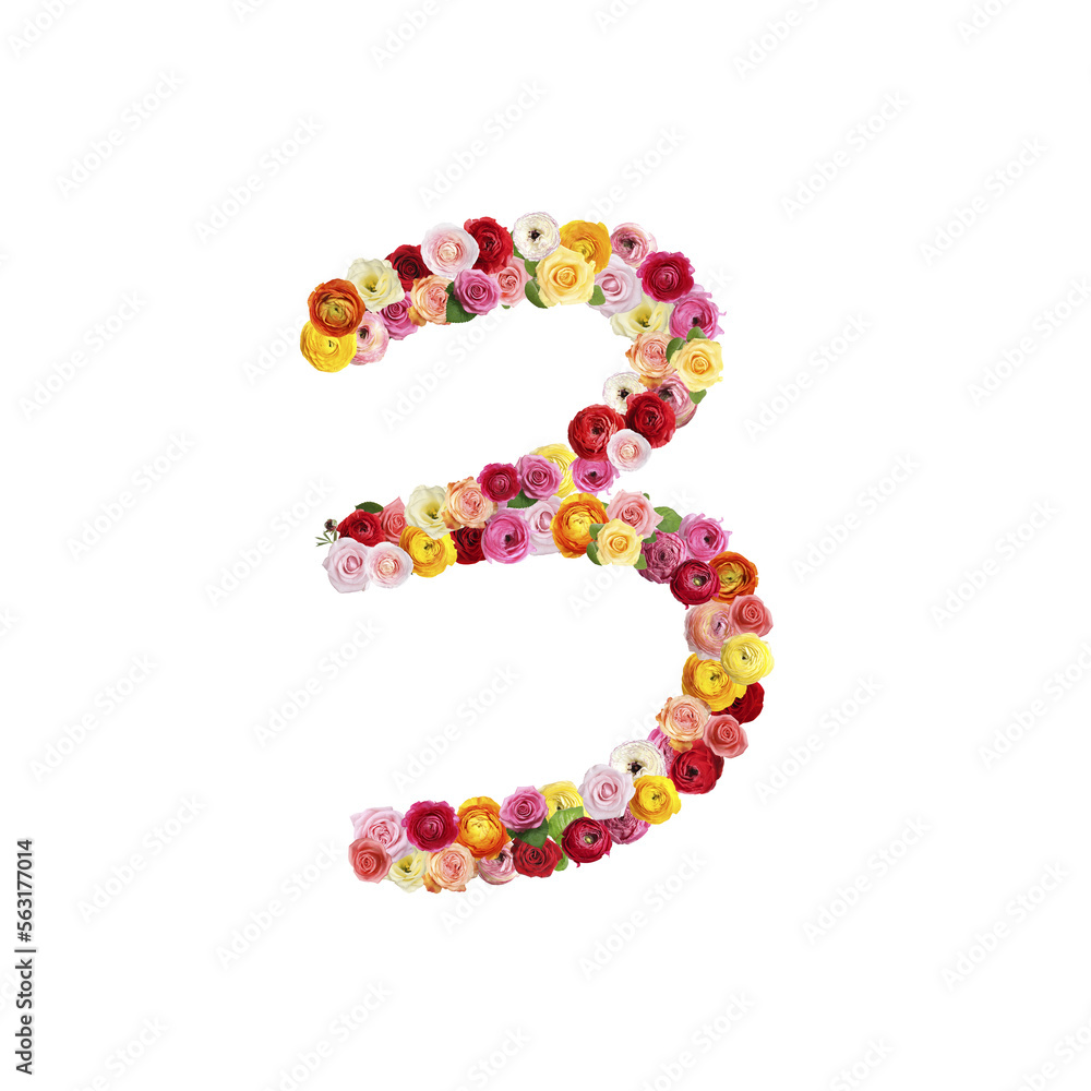 Number 3 made of beautiful flowers on white background Number 3 made of beautiful flowers on white background