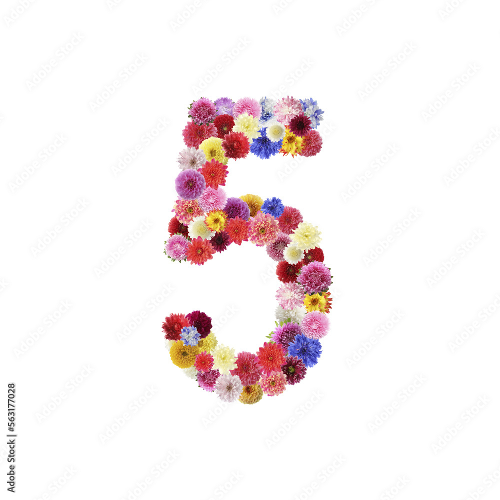 Number 5 made of beautiful flowers on white background