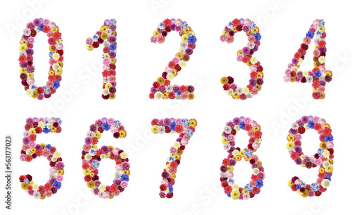 Collage with numbers made of beautiful flowers on white background