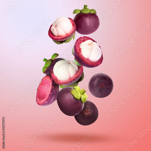 Many ripe mangosteen fruits falling on coral background photo