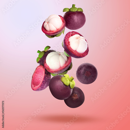 Many ripe mangosteen fruits falling on coral background