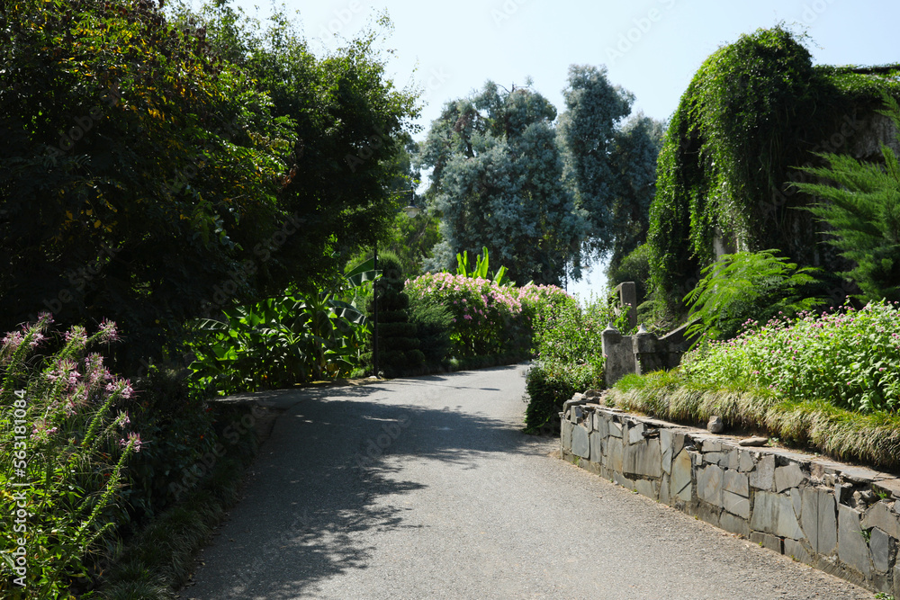 Picturesque view of park with blooming bushes and trees