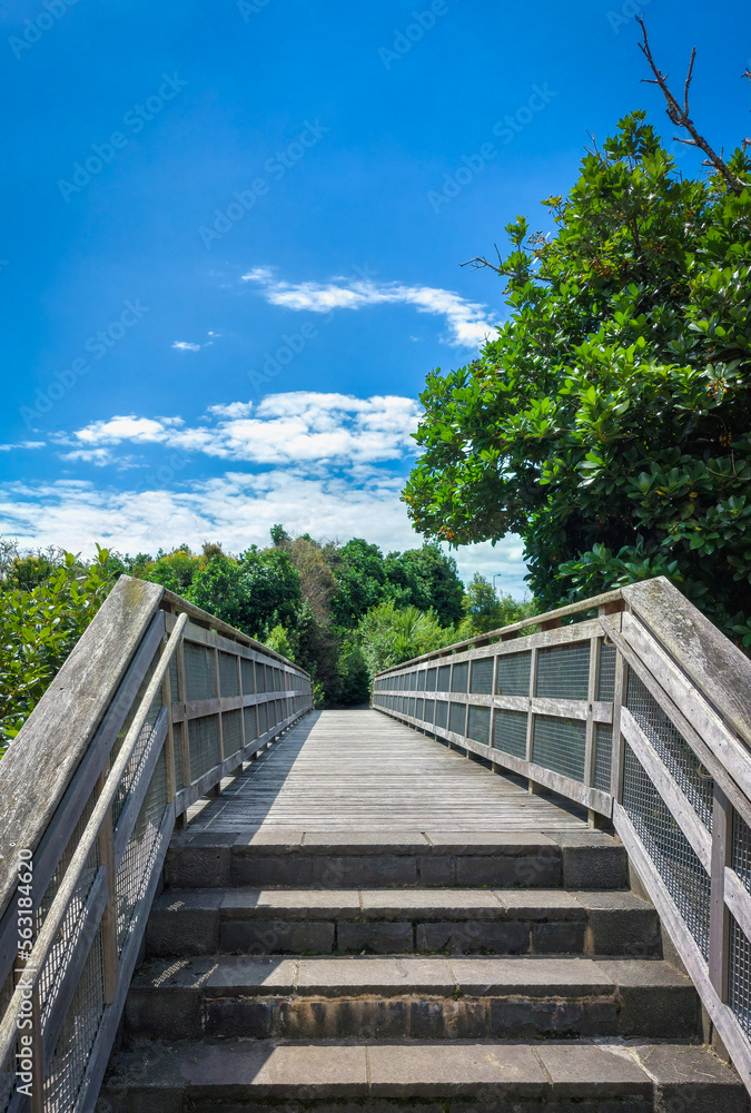 Outdoor walking path wooden bridge, native trees, Blue sky, Waterview, Auckland