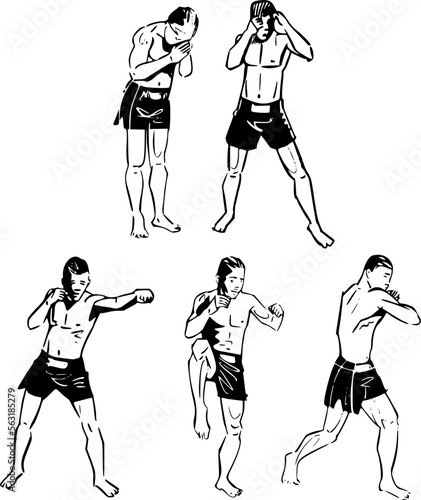 the vector illustration of the Muay Thai fighter