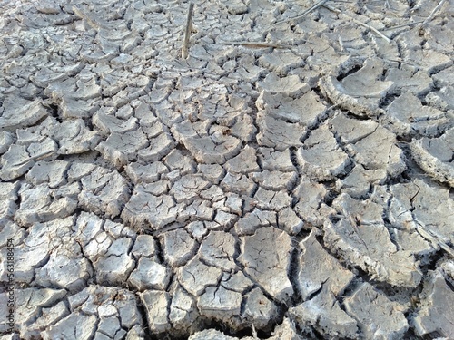 dry cracked earth