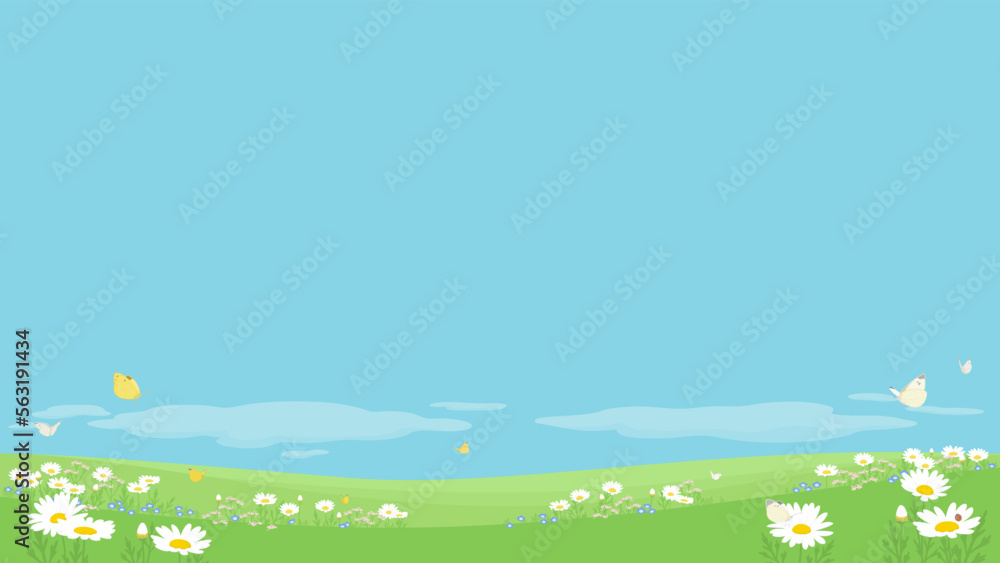 Fototapeta premium Spring background with copy space. Vector illustration of field flowers and butterflies against blue sky.