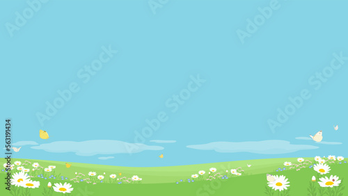 Spring background with copy space. Vector illustration of field flowers and butterflies against blue sky. #563191434
