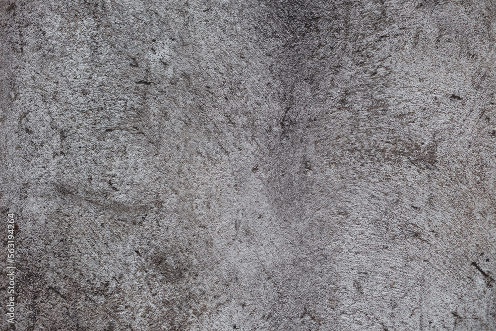 Obraz premium Creative banner of a gray concrete wall. Close-up of concrete texture