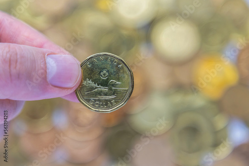 A person holding a Canadian loonie or one-dollar coin. A gold-coloured Canadian coin. photo