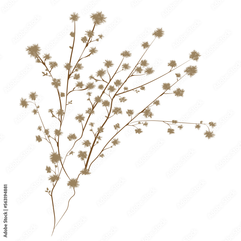 dried flowers detail of a Gipsofila flower tree illustration isolated on EPS white transparent background. 01