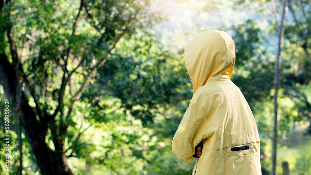 Fototapeta premium Young boy wearing a yellow sweatshirt turned his back and cold hand folded. Nature background of green leaves.