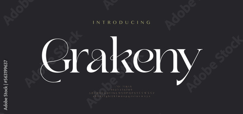 Luxury sans serif alphabet letters font and number. Classic Lettering Minimal Fashion Designs. Typography decorative wedding fonts and logo. vector illustration