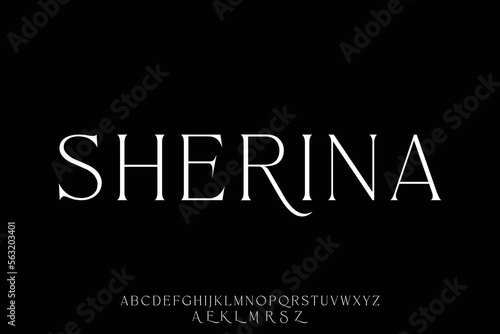 Elegant and minimalist serif display font vector with alternate