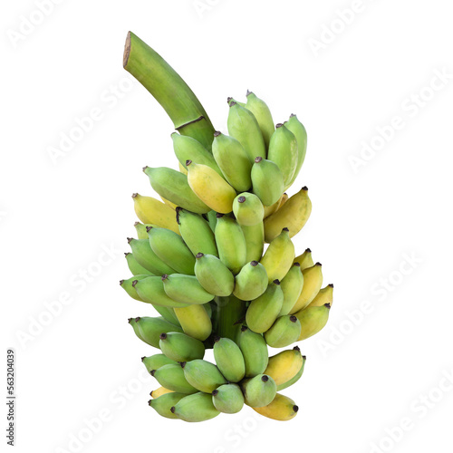 Fresh Thai cultivated banana isolated on white. Saved with clipping path © SKT Studio