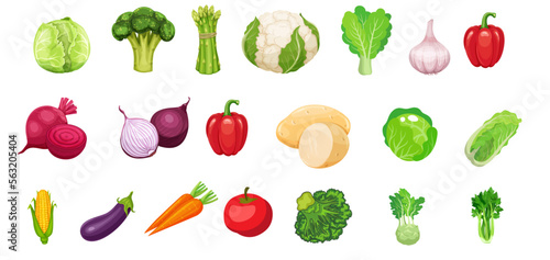 Fototapeta Naklejka Na Ścianę i Meble -  Vegetable vector