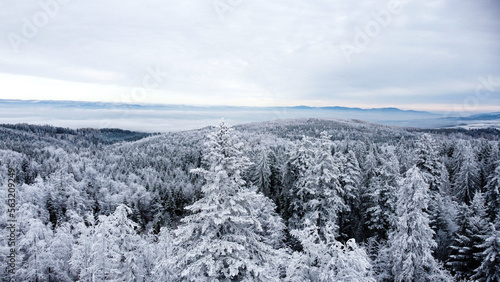 Snow covered trees - drone © Jakub