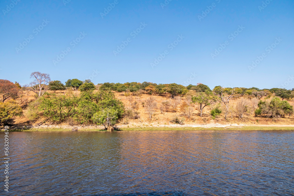 View of the banks and waters of the Chobe River in the Chobe National Park in Botswana. View of the banks and waters of the Chobe River in the Chobe National Park in Botswana.