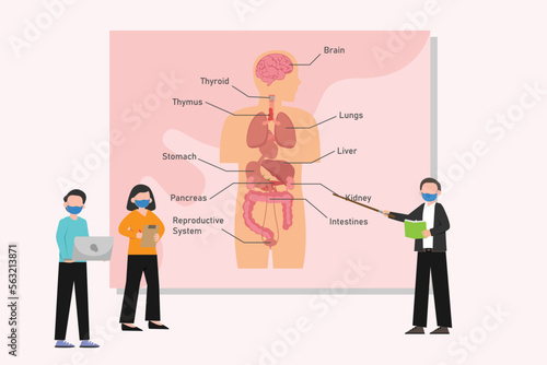 Students showing anatomy of human