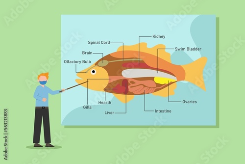 Canvas Print Teacher showing anatomy of fish