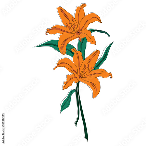 Line Art Flower Abstract