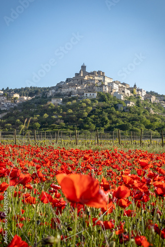 Veduta di Capestrano, Abruzzo, con campo di papaveri fioriti.