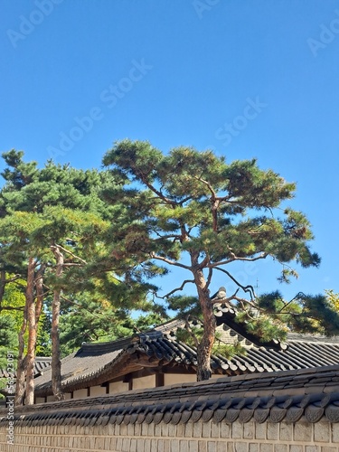 Photography Traditional Koranl roof tile architecture and tile capped stone wall around nobl