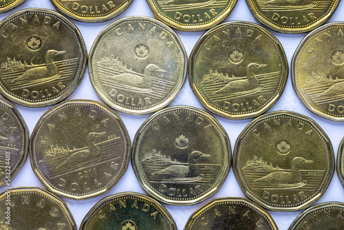 Photos Several Canadian loonies or one-dollar coin