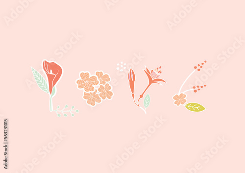 Illustration of Floral Letters 